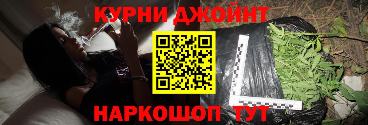 Конопля план Электросталь